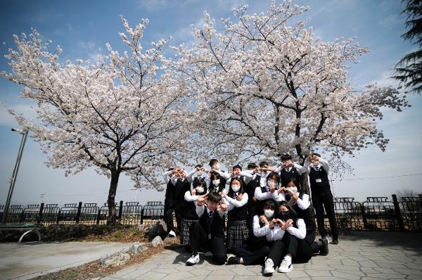 1학년 단체 벚꽃 사진 