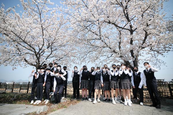 2023학년도 3학년 1반 벚꽃 단체사진